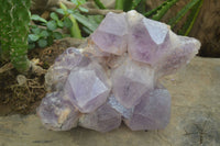 Natural Jacaranda Amethyst Cluster x 1 From Mumbwa, Zambia - TopRock