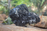 Natural Schorl Black Tourmaline Specimen x 1 From Erongo, Namibia