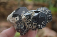 Natural Schorl Black Tourmaline & Smokey Quartz Specimens x 2 From Erongo Mountains, Namibia - TopRock