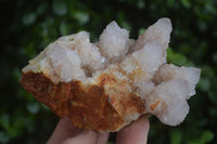 Natural Spirit Amethyst / Ametrine Quartz Clusters  x 2 From Boekenhouthoek, South Africa - Toprock Gemstones and Minerals 