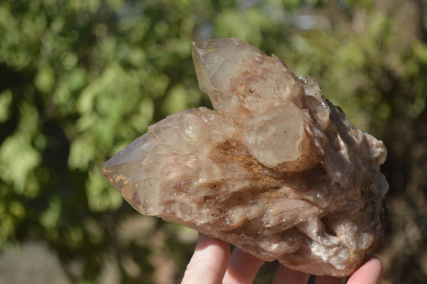 Natural Smokey Phantom Quartz Clusters x 2 From Luena, Congo