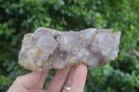 Natural Spirit Amethyst Quartz Clusters  x 4 From Boekenhouthoek, South Africa - Toprock Gemstones and Minerals 