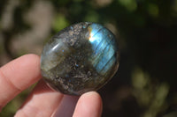 Polished  Flashy Labradorite Palm Stones  x 12 From Tulear, Madagascar