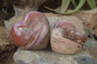 Polished Petrified Wood Hearts x 2 From Mahajanga, Madagascar