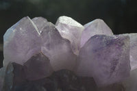 Natural Jacaranda Amethyst Clusters  x 1 From Zambia - Toprock Gemstones and Minerals 