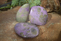 Polished Stichtite & Serpentine Free Forms With Silky Purple Threads x 3 From Barberton, South Africa