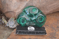 Polished Flower Banded Malachite Free Forms  x 6 From Congo - Toprock Gemstones and Minerals 