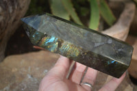 Polished Labradorite Points  x 2 From Tulear, Madagascar