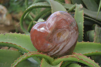 Polished Petrified Wood Hearts x 2 From Mahajanga, Madagascar