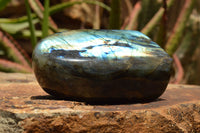 Polished Labradorite Standing Free Forms With Intense Blue & Gold Flash x 2 From Tulear, Madagascar - TopRock