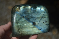 Polished Flashy Blue & Gold Labradorite Standing Free Forms x 2 From Madagascar - Toprock Gemstones and Minerals 