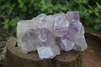 Natural Jacaranda Amethyst Clusters  x 2 From Zambia - Toprock Gemstones and Minerals 