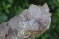 Natural Spirit Amethyst Quartz Clusters  x 4 From Boekenhouthoek, South Africa - Toprock Gemstones and Minerals 