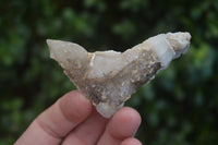 Natural Drusy Quartz Coated Calcite Crystals  x 12 From Alberts Mountain, Lesotho - Toprock Gemstones and Minerals 