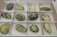 Polished Spotted Leopard Stone Free Forms  x 12 From Zimbabwe