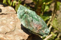 Natural Rough Green Jade Specimens  x 3 From Swaziland - TopRock