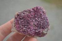 Natural Salrose Cobaltion Dolomite Specimens  x 12 From Kakanda, Congo - TopRock