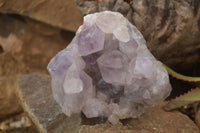 Natural Jacaranda Amethyst Clusters x 2 From Mumbwe, Zambia