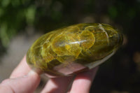 Polished Green Opal Standing Free Forms  x 2 From Antsirabe, Madagascar - Toprock Gemstones and Minerals 