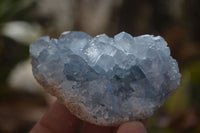 Natural Blue Celestite Crystal Specimens  x 6 From Madagascar