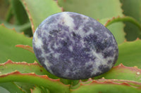 Polished Purple Lepidolite Palm Stones  x 12 From Zimbabwe