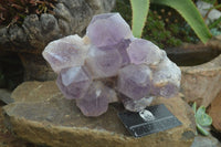 Natural Jacaranda Amethyst Cluster x 1 From Mumbwa, Zambia - TopRock