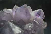 Natural Jacaranda Amethyst Clusters  x 1 From Zambia - Toprock Gemstones and Minerals 