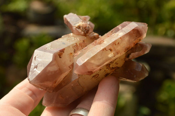 Natural Red Hematoid Phantom Quartz Clusters x 6 From Zimbabwe - TopRock