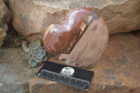 Polished Petrified Wood Hearts x 2 From Mahajanga, Madagascar