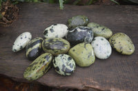 Polished Spotted Leopard Stone Free Forms  x 12 From Zimbabwe