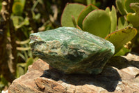 Natural Rough Green Jade Specimens  x 3 From Swaziland - TopRock