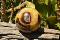 Polished Septarian (Calcite & Aragonite) Spheres  x 3 From Mahajanga, Madagascar - TopRock