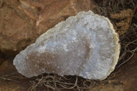 Natural Amethyst & Crystal Centred Geodes  x 12 From Zululand, South Africa - TopRock