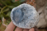 Natural Blue Celestite Crystal Specimens  x 6 From Madagascar