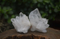 Natural Etched Clear Quartz Crystals  x 14 From Mpika, Zambia - Toprock Gemstones and Minerals 