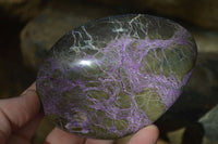 Polished Stichtite & Serpentine Free Forms With Silky Purple Threads x 3 From Barberton, South Africa