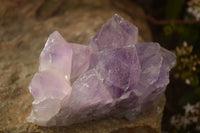 Natural Jacaranda Amethyst Clusters x 2 From Mumbwe, Zambia