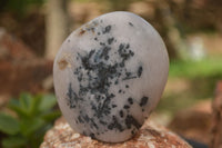 Polished Tourmalinated Quartz Standing Free Forms  x 4 From Namibia - TopRock