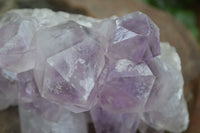 Natural Jacaranda Amethyst Clusters  x 2 From Zambia - Toprock Gemstones and Minerals 