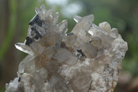 Natural Schorl Black Tourmaline & Smokey Quartz Specimens x 2 From Erongo Mountains, Namibia - TopRock