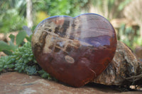 Polished Large Petrified Red Podocarpus Wood Heart  x 1 From Madagascar - Toprock Gemstones and Minerals 