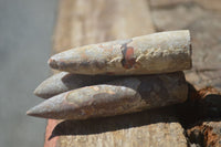 Natural Belemnite Fossil "Bullets" x 80 From Madagascar - Toprock Gemstones and Minerals 