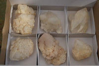 Natural "Cathedral Window" Candle Quartz Formations  x 6 From Madagascar - Toprock Gemstones and Minerals 