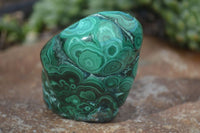 Polished Flower Banded Malachite Free Forms  x 6 From Congo - Toprock Gemstones and Minerals 