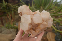 Natural Pineapple Candle Quartz Clusters  x 2 From Madagascar