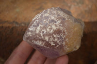 Natural Single Jacaranda Amethyst Crystals x 12 From Mumbwe, Zambia