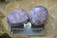 Polished Purple Lepidolite Palm Stones  x 12 From Zimbabwe