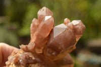 Natural Red Hematoid Phantom Quartz Clusters x 6 From Zimbabwe - TopRock