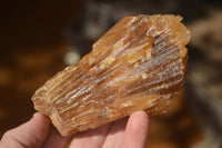 Natural Honey Aragonite Etched & Cobbed Pieces  x 6 From Namibia