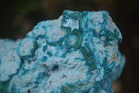 Natural Blue Chrysocolla On Silky Malachite Matrix Specimens x 2 From Kulukuluku, Congo - Toprock Gemstones and Minerals 